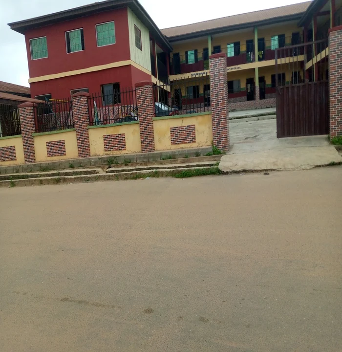 Primary School